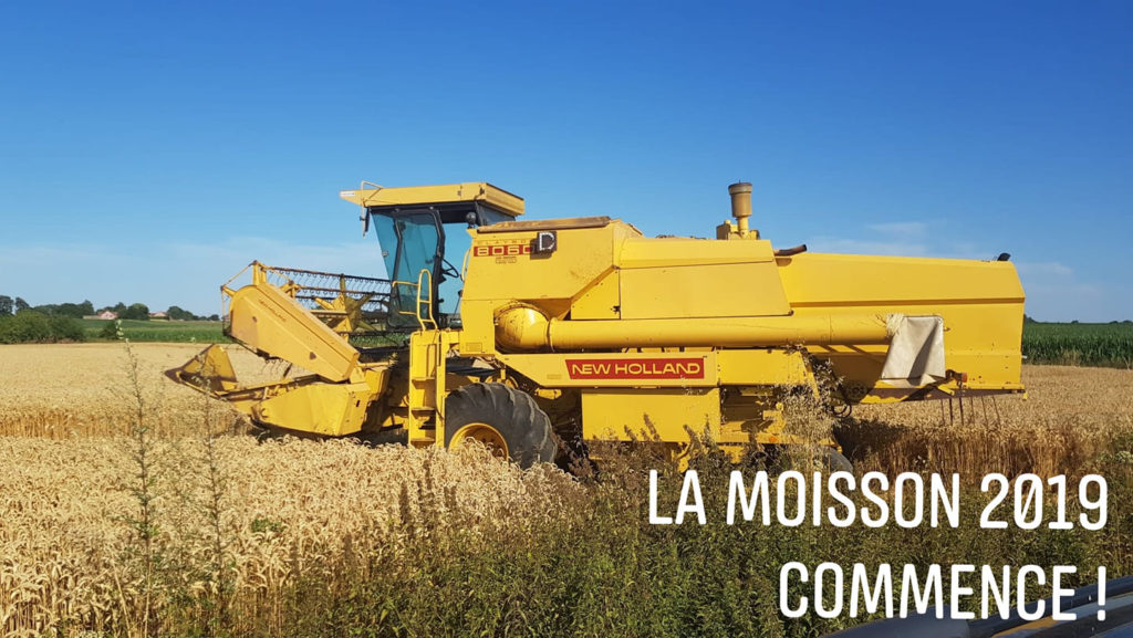 La moisson commence !
