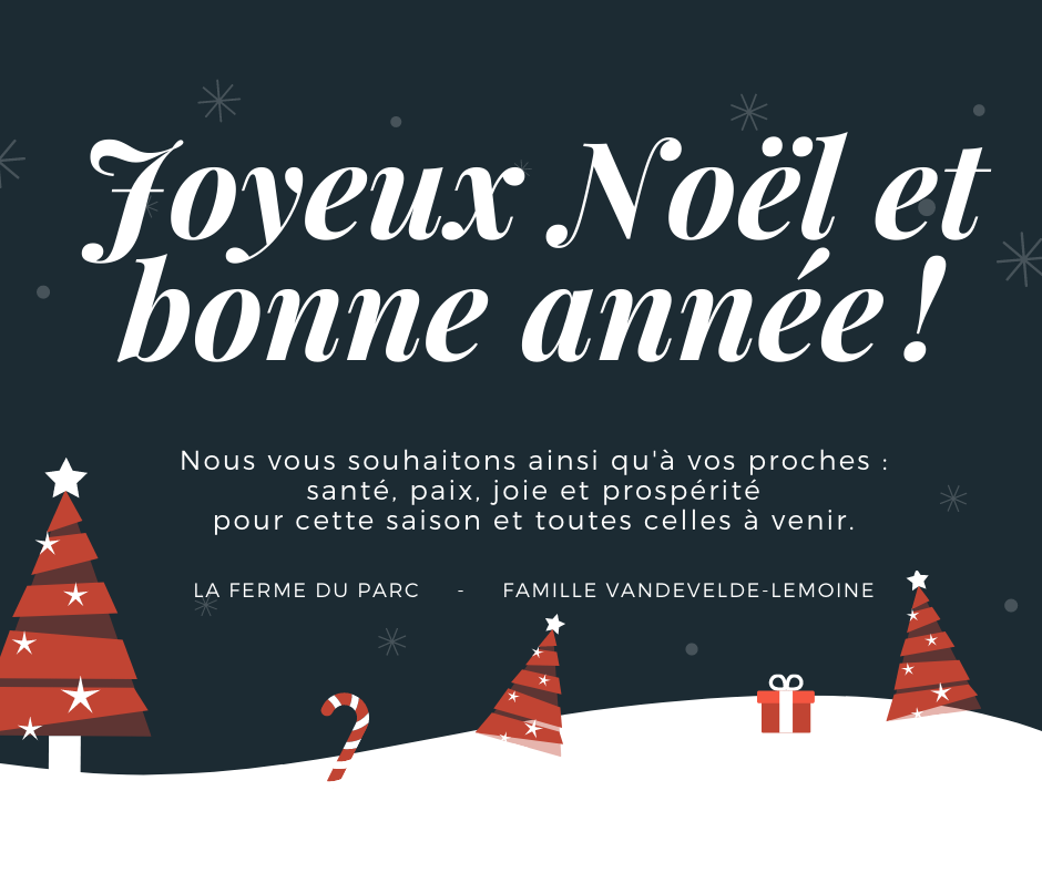 MEILLEURS VOEUX 2020